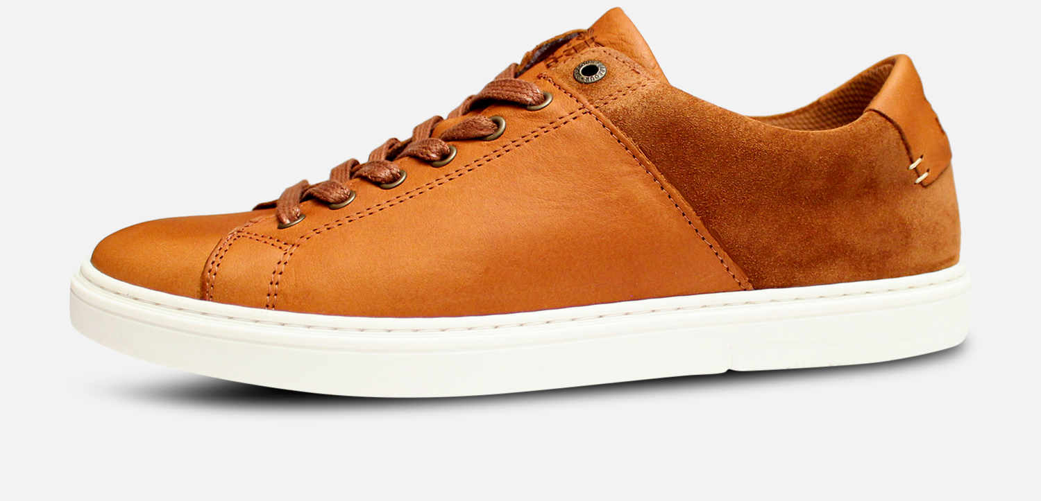 Luxury Barbour Ariel 2 Trainers in Tan Leather