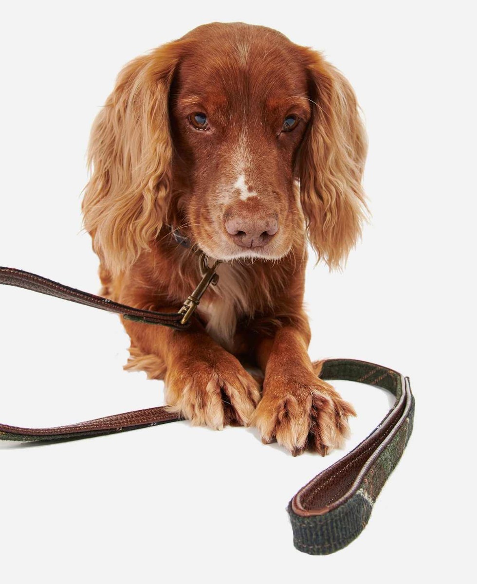 Barbour Premium Leather Dog Lead in Olive Tartan
