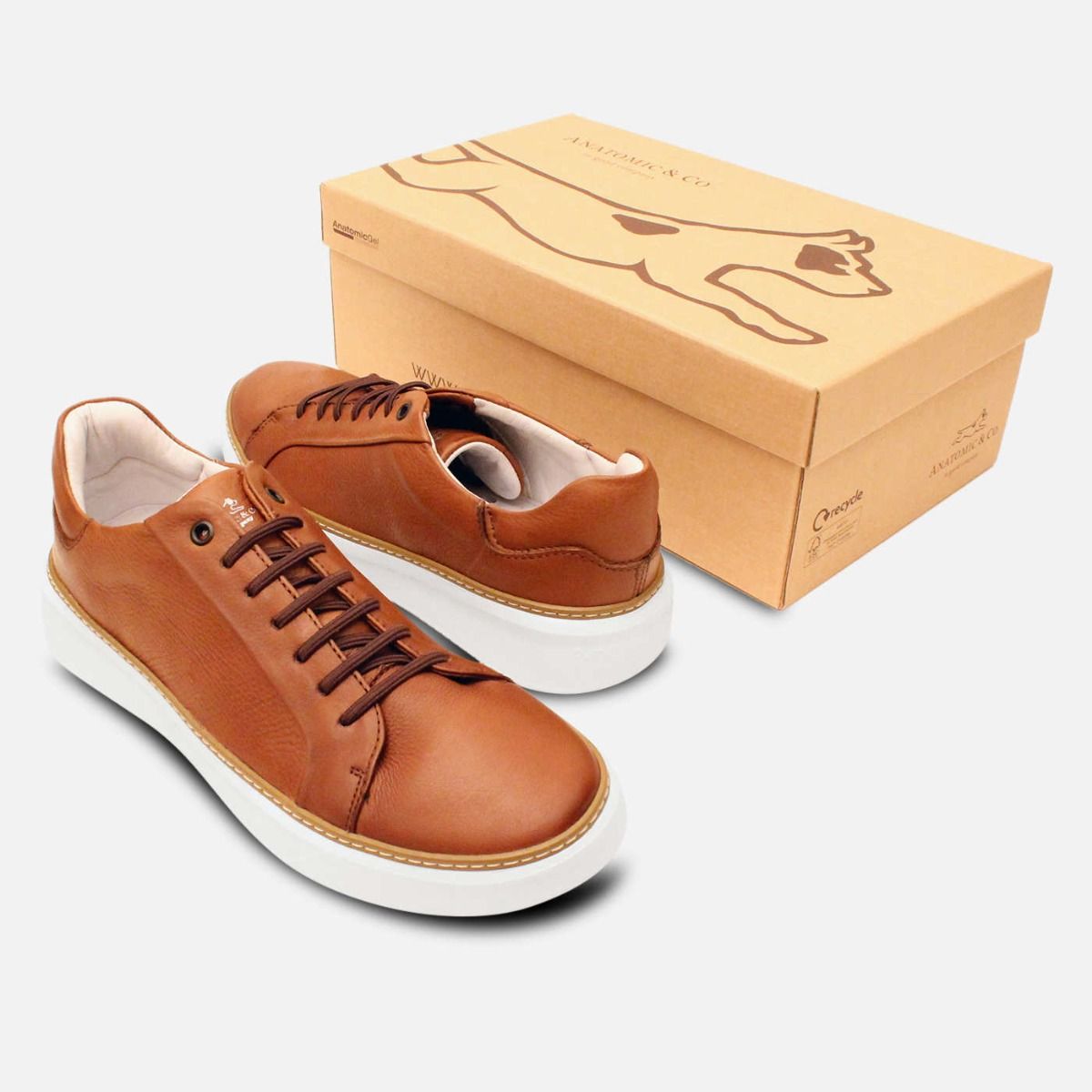 Anatomic Comfort Lace Up Training Shoes in Light Brown Leather