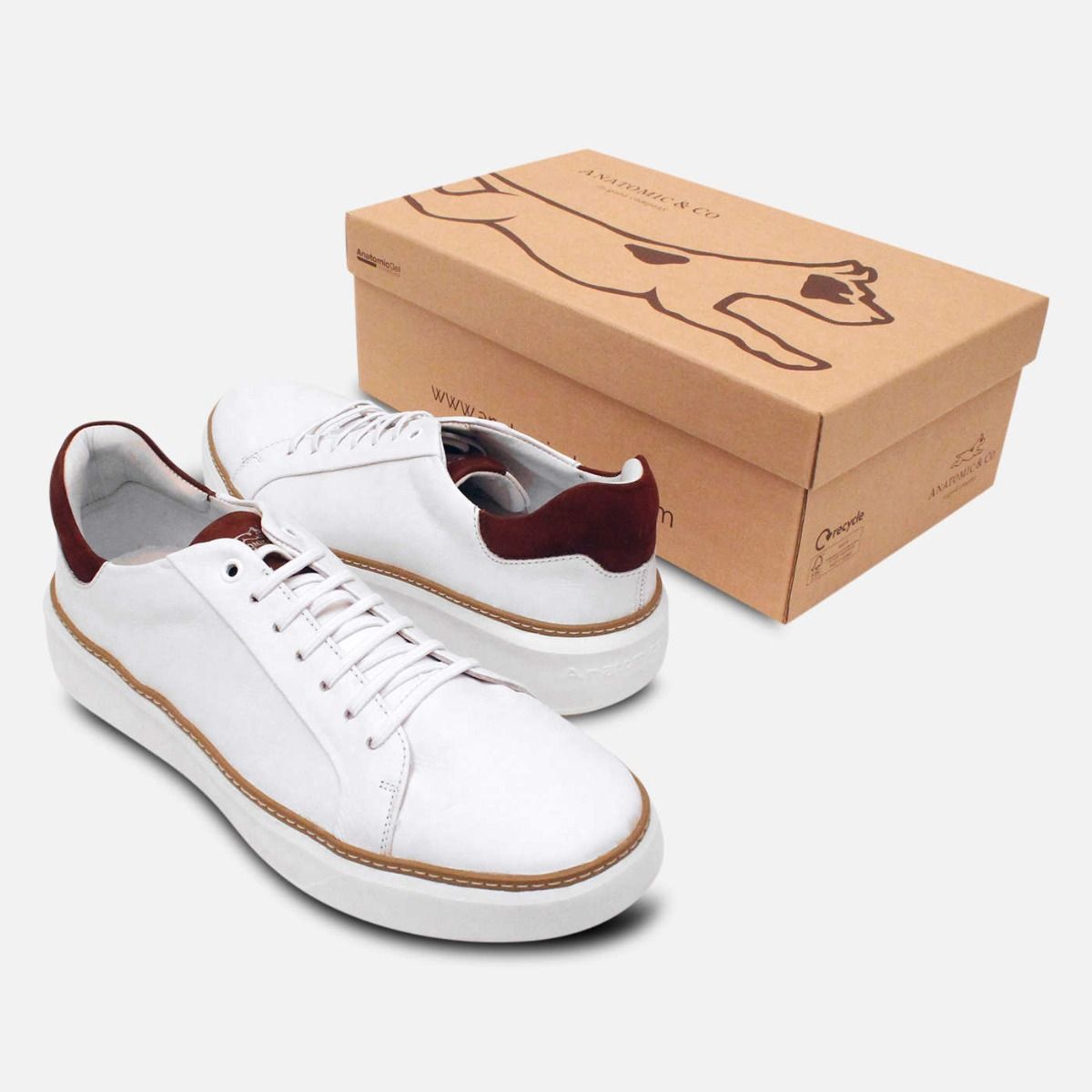 Anatomic Comfort Lace Up Mens Training Shoes in White Leather