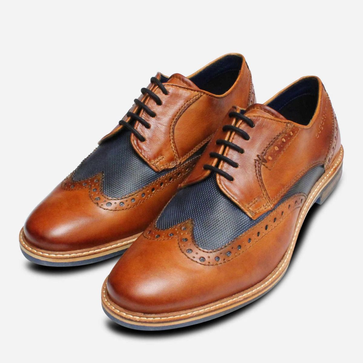 Bugatti Two Tone Spectator Shoes in Tan & Navy