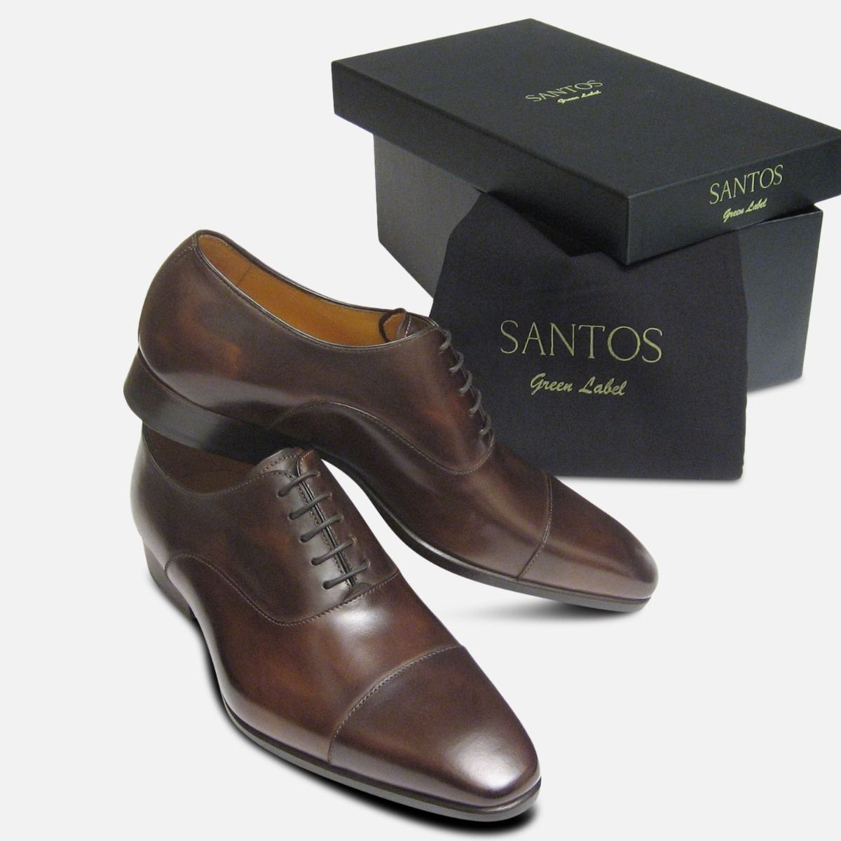 Riviera by Carlos Santos Mens Shoes in Brown Espresso