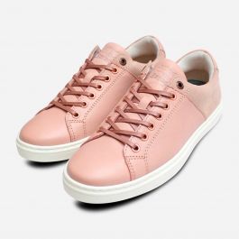 barbour trainers womens