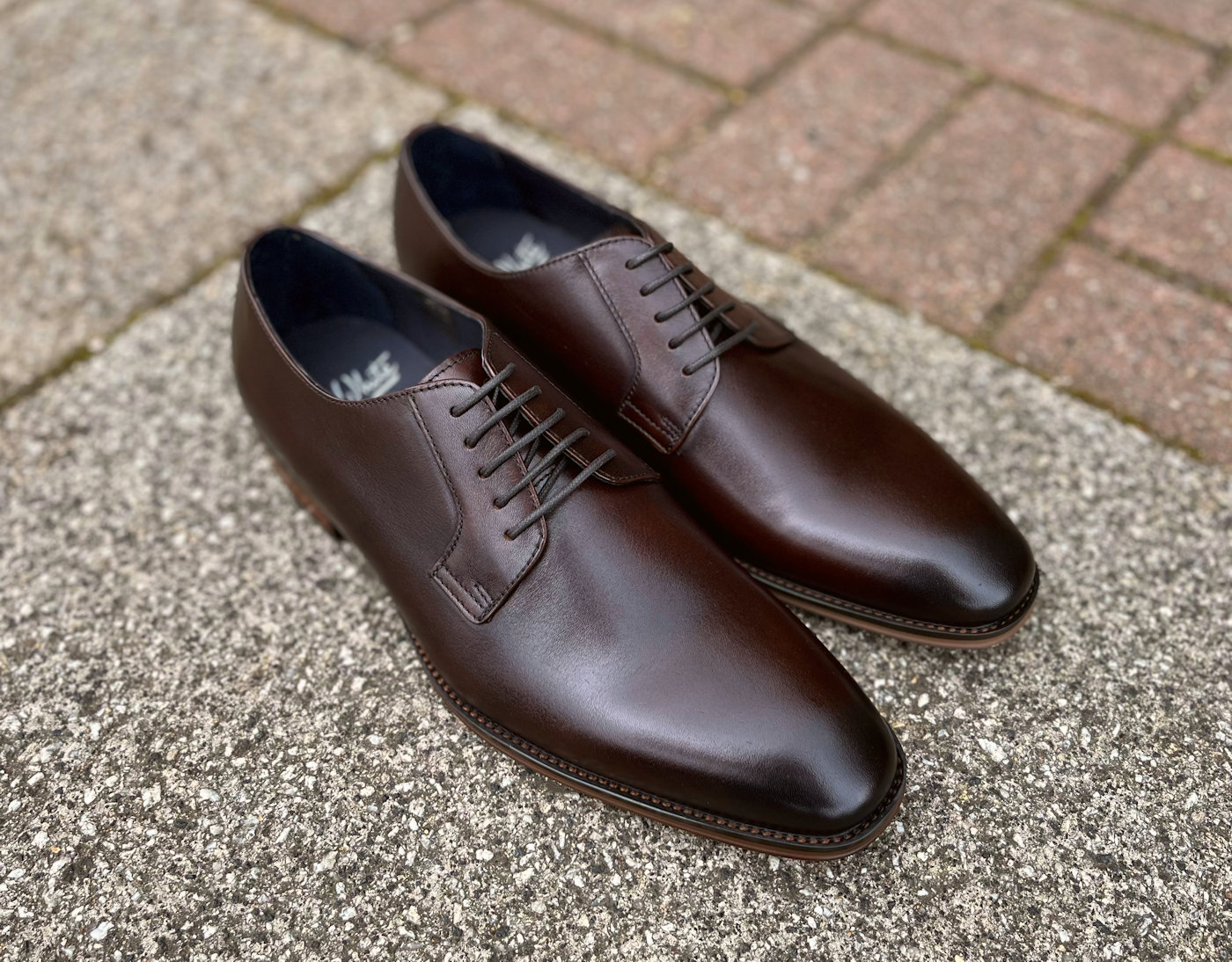 John White Formal Dark Brown Mens Lace Up Shoes