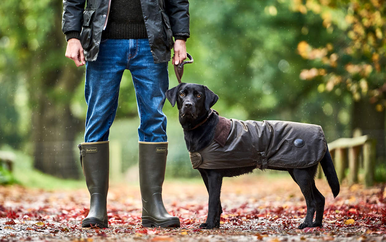 Barbour Wellington Boots